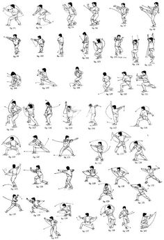 Wushu taolu basic training pdf
